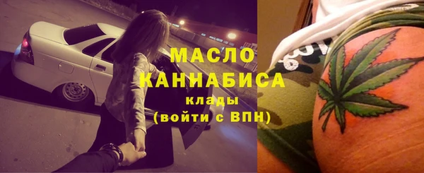 молекула духа Пересвет