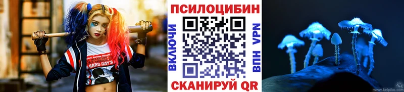 Галлюциногенные грибы MAGIC MUSHROOMS  Чекалин 